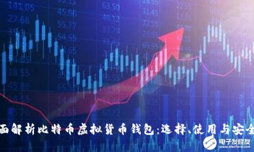 全面解析比特币虚拟货币钱包：选择、使用与安全性