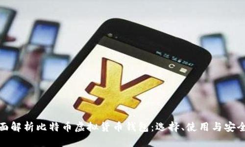 全面解析比特币虚拟货币钱包：选择、使用与安全性