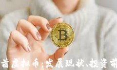 全面解析阿联酋虚拟币：