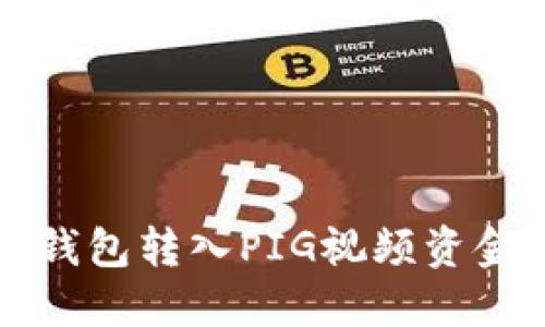 如何使用TP钱包转入PIG视频资金的详细指南