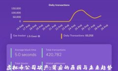 虚拟币公司破产：背后的
