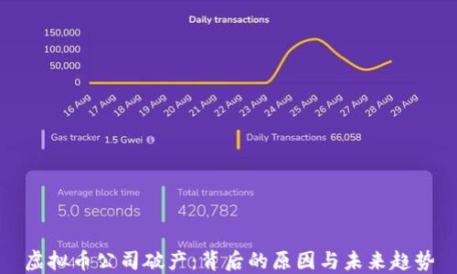 
虚拟币公司破产：背后的原因与未来趋势