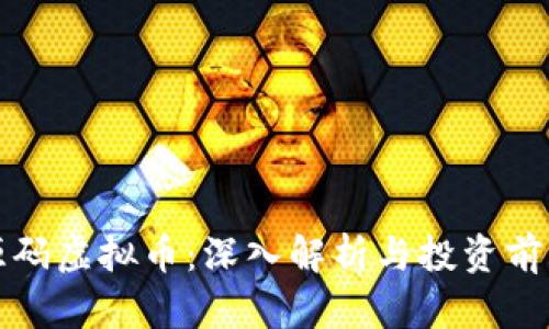 源码虚拟币：深入解析与投资前景