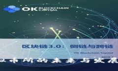  中国虚拟币所的未来与发