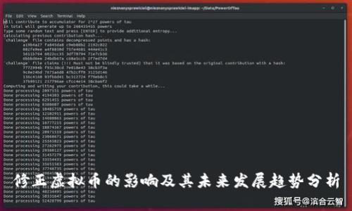 修正虚拟币的影响及其未来发展趋势分析