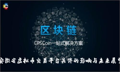 安徽省虚拟币交易平台关停的影响与未来展望