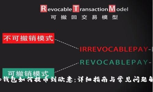 t p钱包如何提币到欧意：详细指南与常见问题解答