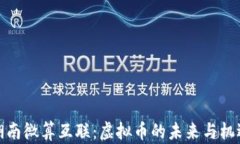 湖南微算互联：虚拟币的