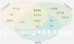 全面解析Gopay003应用钱包下
