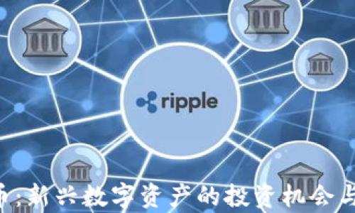 
IDO虚拟币：新兴数字资产的投资机会与风险分析