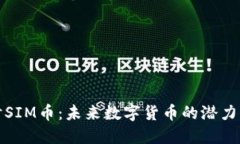 深入探讨SIM币：未来数字