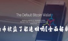  TP钱包上的币被盗了能追
