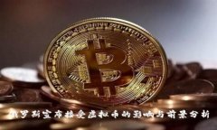 俄罗斯宣布接受虚拟币的