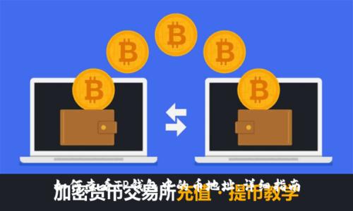 如何查看TP钱包中的币地址：详细指南
