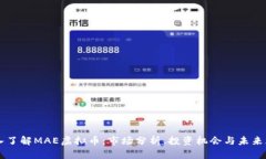 深入了解MAE虚拟币：市场