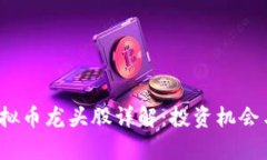 2023年虚拟币龙头股详解：