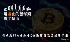 什么是SIW虚拟币？全面解
