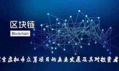 深入探索虚拟币众筹项目
