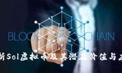 深入解析Sol虚拟币及其潜
