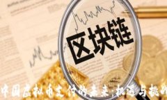 中国虚拟币支付的未来：