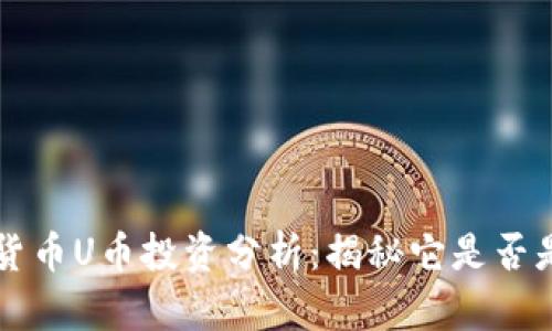 虚拟货币U币投资分析：揭秘它是否是骗局