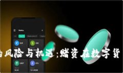 虚拟币投资的风险与机遇