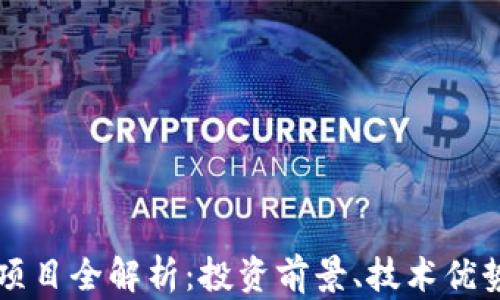 
虚拟币龙头项目全解析：投资前景、技术优势与风险评估