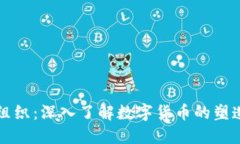虚拟币组织：深入了解数