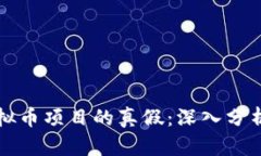 如何辨别虚拟币项目的真