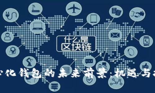 TP去中心化钱包的未来前景：机遇与挑战探讨