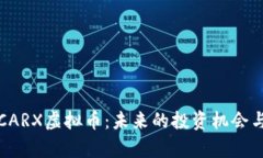 深入解析CARX虚拟币：未来