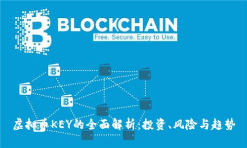 虚拟币KEY的全面解析：投资、风险与趋势