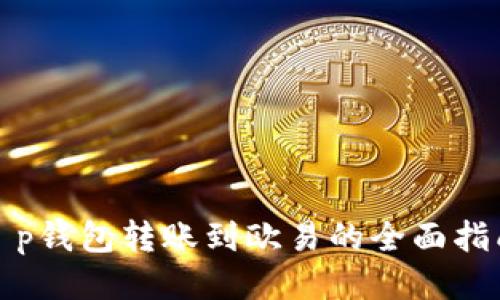 t p钱包转账到欧易的全面指南
