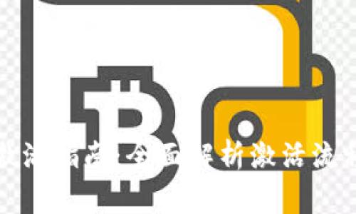 TP新建钱包激活指南：全面解析激活流程与常见问题