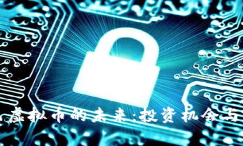 阿里巴巴虚拟币的未来：投资机会与风险分析