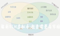 深入解析BLM虚拟币：投资