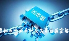  虚拟币十大币种及其背后