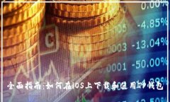 全面指南：如何在iOS上下