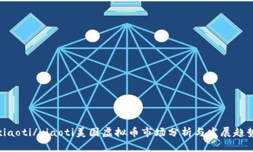 xiaoti/xiaoti美国虚拟币市场分析与发展趋势