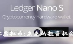 深入解读PIC虚拟币：未来