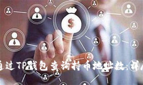 如何通过TP钱包查询持币地址数：详尽指南