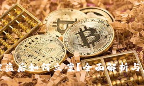 TP钱包被盗后如何立案？全面解析与应对策略