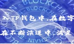 解密TP钱包：数字资产管理