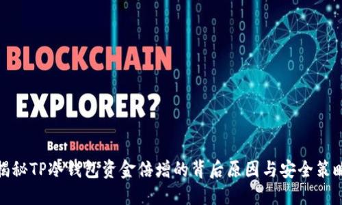 揭秘TP冷钱包资金倍增的背后原因与安全策略