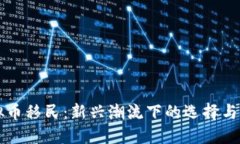 虚拟币移民：新兴潮流下