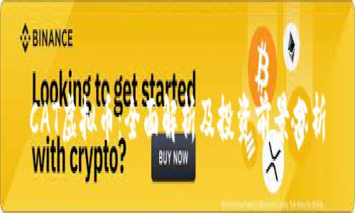 CAT虚拟币：全面解析及投资前景分析