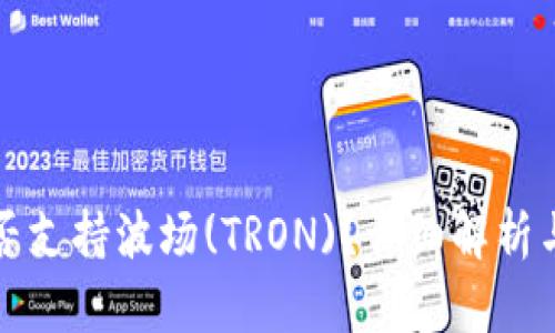 TP钱包是否支持波场(TRON)？详细解析与使用指南