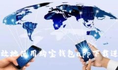 如何安全高效地使用购宝