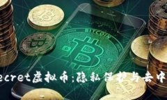 全面解析Secret虚拟币：隐