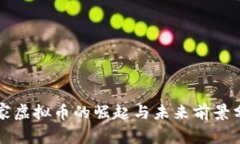 商家虚拟币的崛起与未来